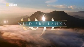 Дикая Шри-Ланка / Wild Sri Lanka (2014)