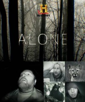 В изоляции / Alone (2015)