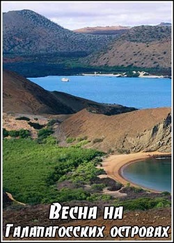 Весна на Галапагосских островах
