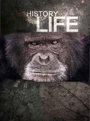 История жизни