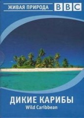 Дикие Карибы