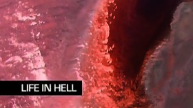 Выживание в аду / Life in hell (2010)