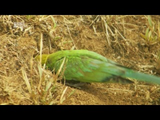 Неизведанные острова 4 Шри Ланка / Sri Lanka