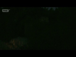 Опасные земли 1  Гаити