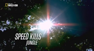 Убийственная скорость Джунгли