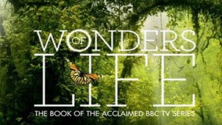BBC Чудеса жизни 3 Бесчисленные прекраснейшие формы HD