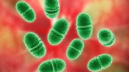 Невидимая жизнь Микробы и болезни