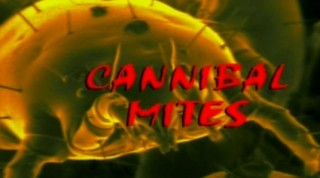 Невидимые захватчики. Клещи-каннибалы / Cannibal Mites