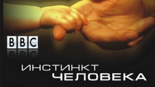 BBC Инстинкт Человека 3 Воля к победе