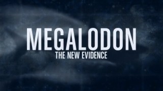 Мегалодон. Новые свидетельства / Megalodon. The New Evidence (2014) HD