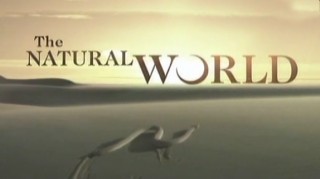 BBC Мир Природы. Орлиный остров / The Natural World. The Eagle Island