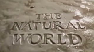 BBC Мир природы. В объятьях змей / The Natural World.