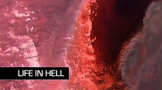 Выживание в аду / Life in hell 01. Выживание в соленой и кислой среде