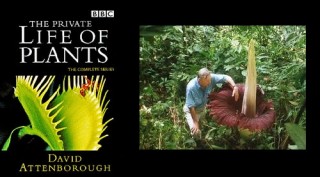 BBC: Невидимая жизнь растений. Часть 1. Путешествия
