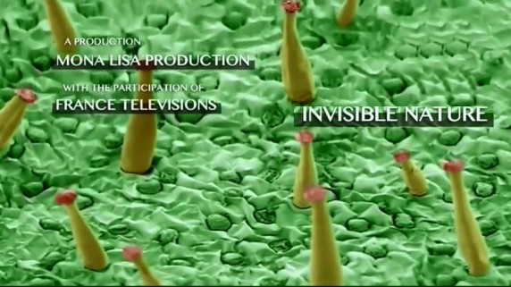 Растения под микроскопом / Invisible Nature 01. Растения - колонизаторы (2012)