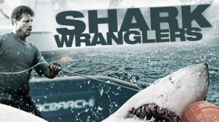 Акульи Пастухи / Shark Wranglers 10. Никогда не сдавайся. Never Give Up (2012)