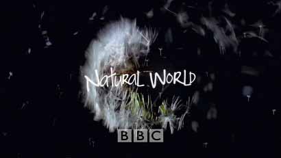 Мир природы - Горы тропических дождей / Natural World - The Mountains of the Monsoon (2009) HD