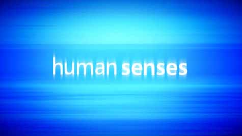 Чувства человека 2 серия. Зрение / Human Senses (2003) HD