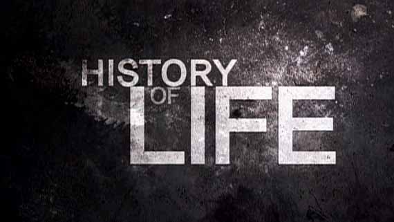 История жизни 1 серия. Растения - безмолвные владыки Земли / History of life (2012)