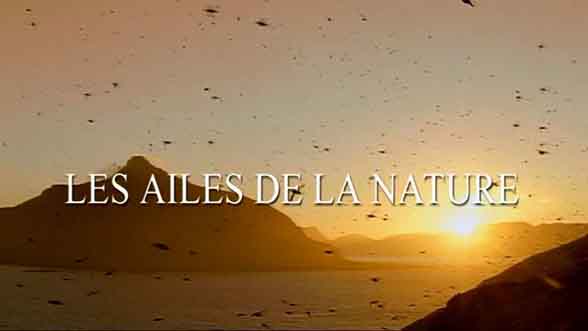 Крылья природы 3 серия. Морские птицы / Les ailes de la nature (2002)