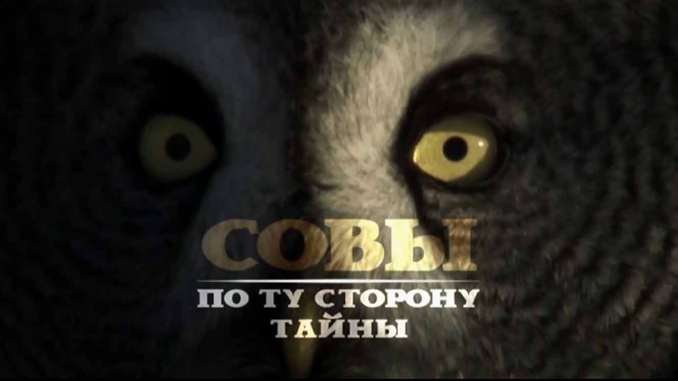 Мир природы. Совы По ту сторону тайны / The Natural World. Owls (2015)