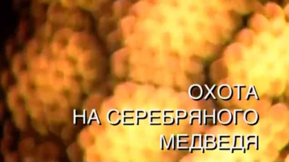 Искатели. Охота на серебряного медведя (2016)