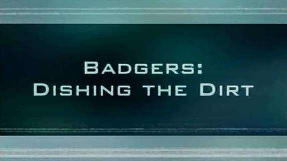 Сущность зверя 3 серия. Барсук. Скандальная репутация / Nature of the beast (2007)