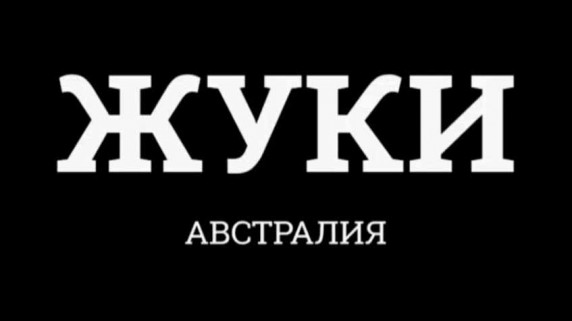 Жуки 2 серия. Австралия / Bugs (2016)