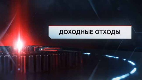 Доходные отходы. ЧП Расследование (2017)