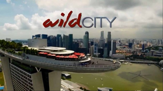 Дикий город 1 серия. Скрытая природа / David Attenboroughs: Wild City (2015)