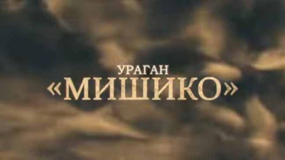 Ураган Мишико. Линия защиты
