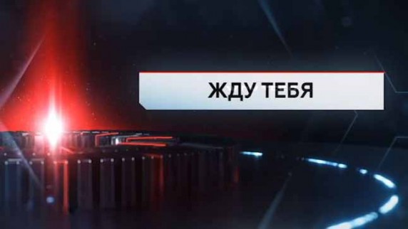 Жду тебя. ЧП. Расследование (2017)