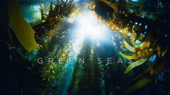 Голубая планета 2: 5 серия. Зелёные Моря / Blue Planet II (2017)