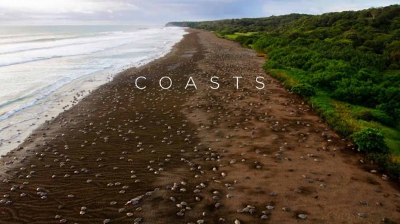 Голубая планета 2: 6 серия. Побережья / Blue Planet II (2017)