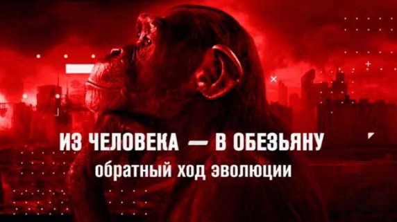 Из человека в обезьяну. Обратный ход эволюции. Документальный спецпроект (2018)