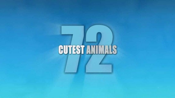 72 самых милых животных 5 серия / 72 Cutest Animals (2016)