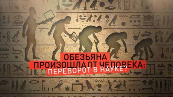 Обезьяна произошла от человека: переворот в науке? Документальный спецпроект (07.12.18)
