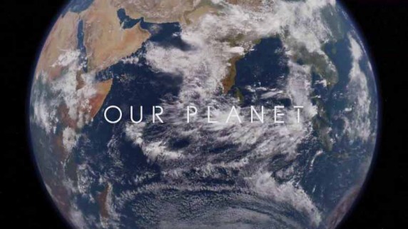 Наша планета 5 серия. От пустынь до лугов / Our Planet (2019)