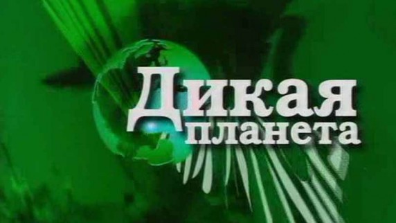Дикая планета 97 серия. Утраченный мир Священной земли / Wild Planet (2005)
