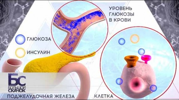 Сахар. Большой скачок (2019)