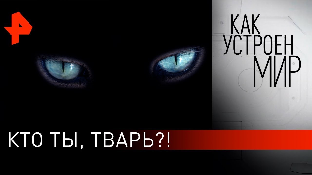 Кто ты, тварь? Как устроен мир с Тимофеем Баженовым (14.10.19)