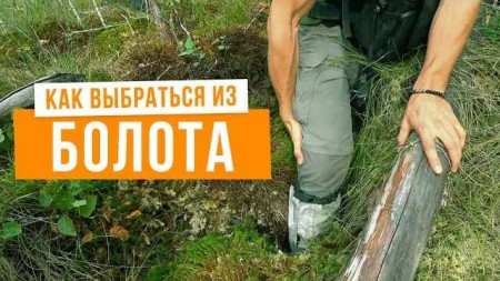 Болото как метафора твоей жизни. Как выбраться из болота.  Хочу домой (2019)