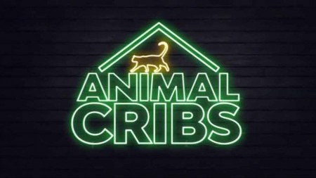 Дома для животных 2 сезон 03 серия. Дом диких кошек / Animal Cribs (2019)