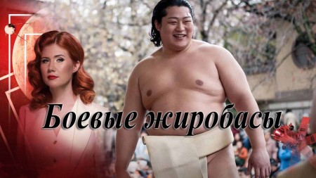 Боевые жиробасы. Тайны Чапман (29.05.2020)