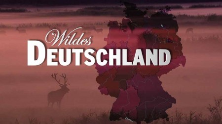 Дикая природа Германии 3 сезон 3 серия. В краю чистых озёр / Wildes Deutschland (2013)