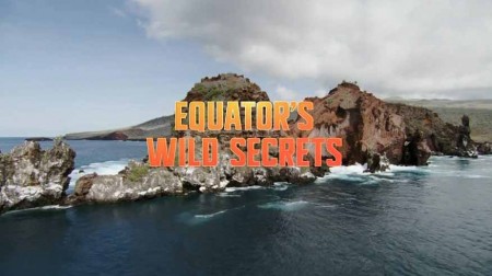 Необычная природа экватора 02 серия. Борнео и Суматра / Equator's Wild Secrets (2019)