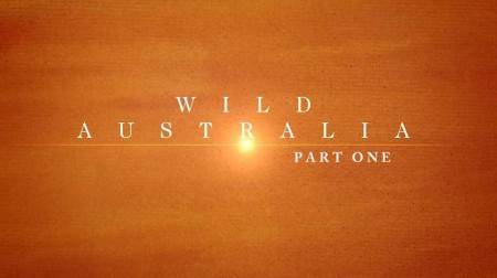 Дикая Австралия 1 серия / Wild Australia (2011)