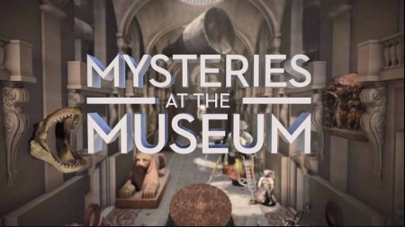 Музейные тайны 12 сезон 03 серия. Смерть Тельмы Тодд / Mysteries at the Museum (2016)