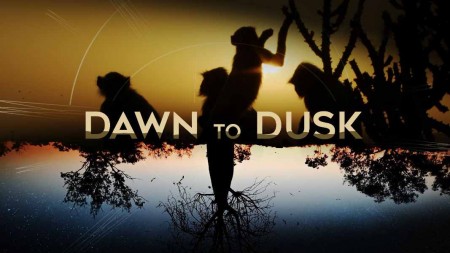 От рассвета до заката 6 серия. Австралийская весенняя лихорадка / Dawn To Dusk (2020) 4K