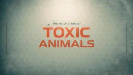 Самые ядовитые животные мира 2 серия. Леса и луга / World's Most Toxic Animals (2021)